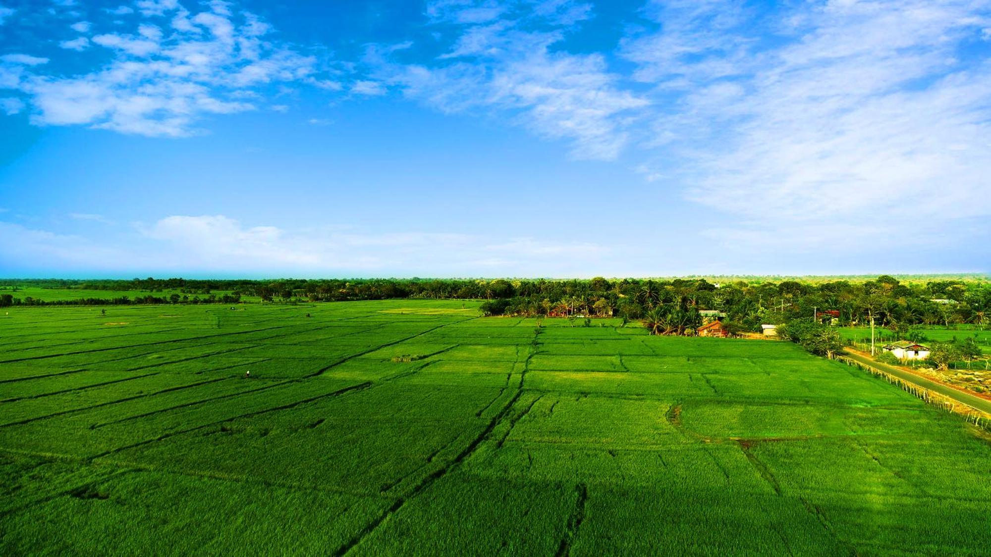 Avonil Resort Yala Tissamaharama Exterior foto
